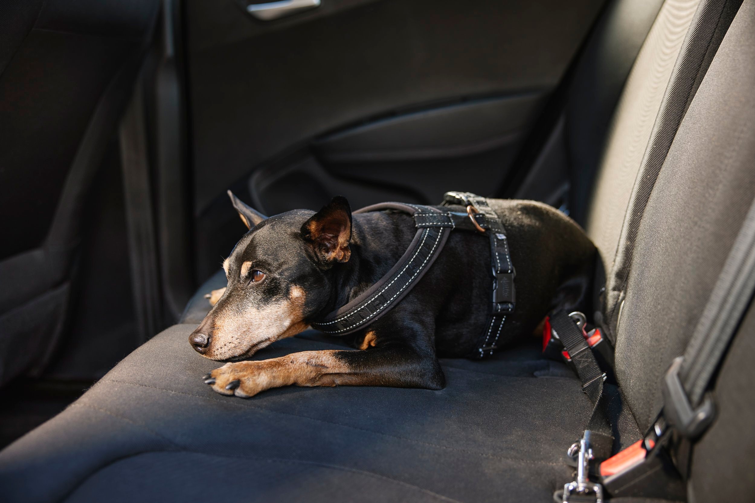 A1 A1631copy A1 A1631copy