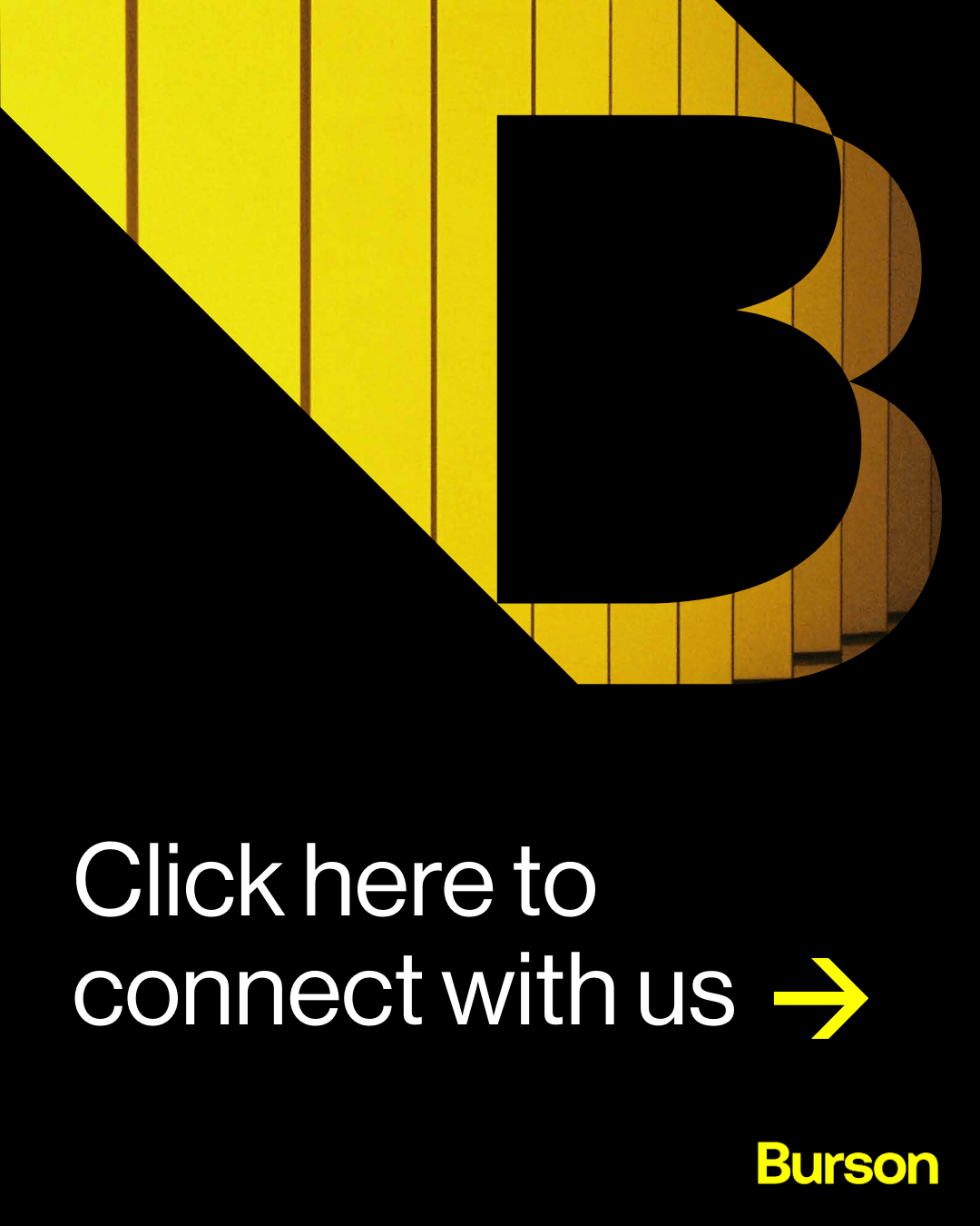 BSG Website Graphic 3 BSG Website Graphic 3